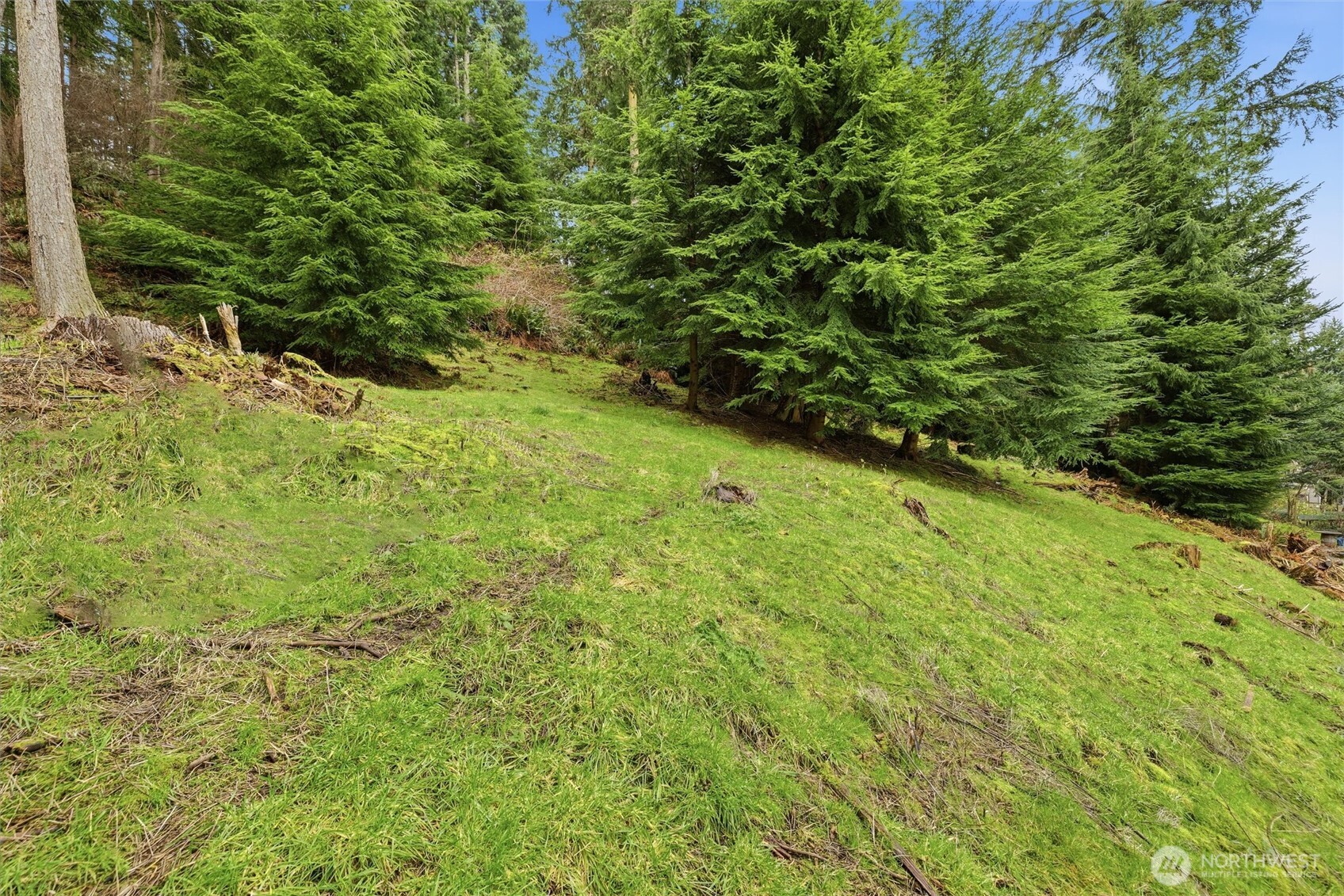 5184 Ridgeline Place Property Photo 18