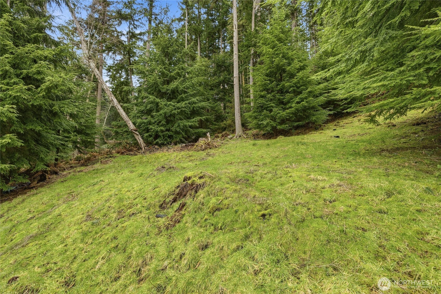 5184 Ridgeline Place Property Photo 19