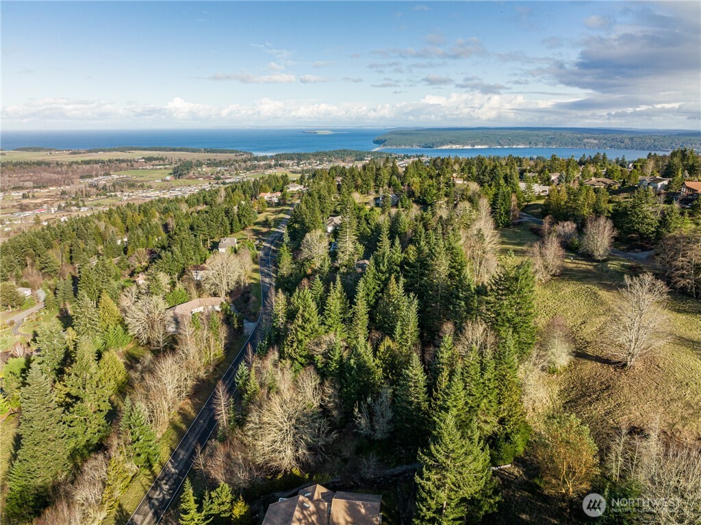 99999 Lot 3 Owls Nest Road Property Photo 4