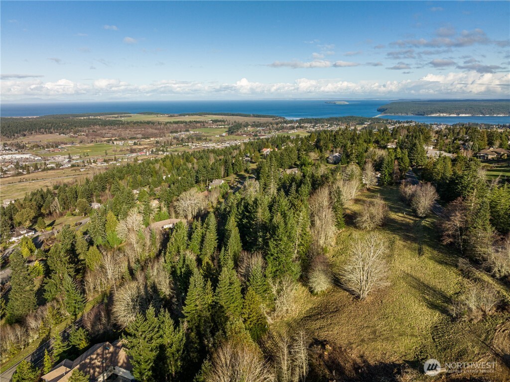 99999 Lot 3 Owls Nest Road Property Photo 6