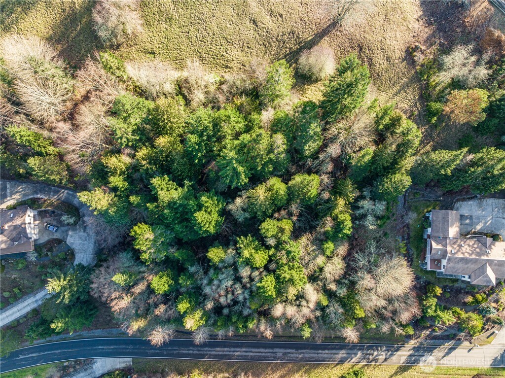 99999 Lot 3 Owls Nest Road Property Photo 13