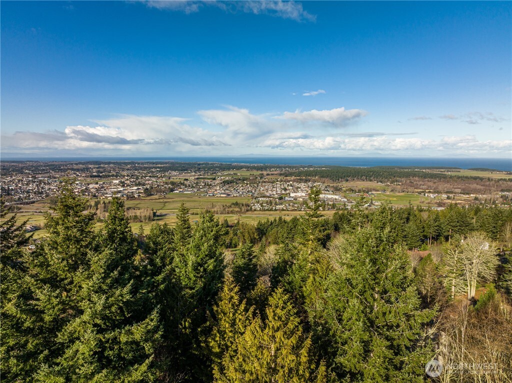 99999 Lot 3 Owls Nest Road Property Photo 18