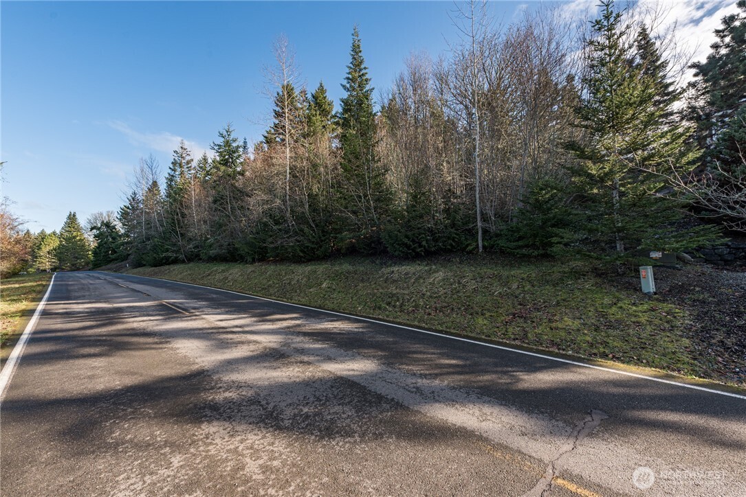 99999 Lot 3 Owls Nest Road Property Photo 20