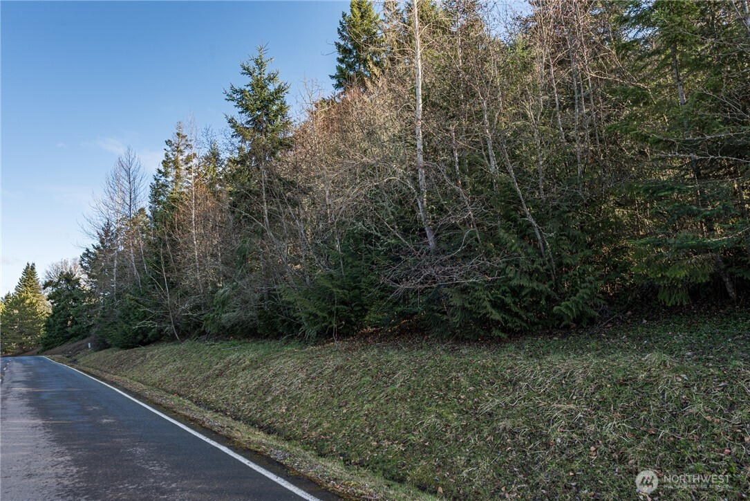 99999 Lot 3 Owls Nest Road Property Photo 21