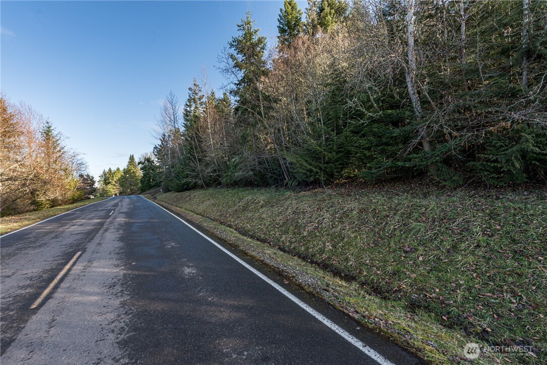 99999 Lot 3 Owls Nest Road Property Photo 22