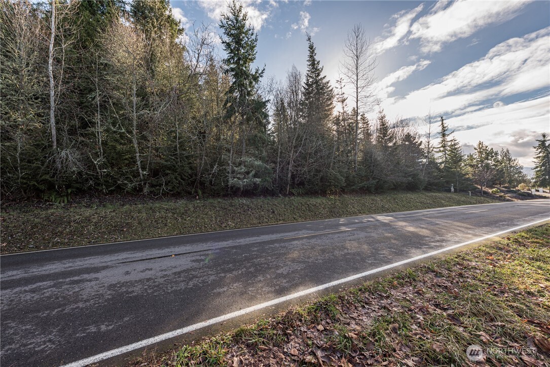 99999 Lot 3 Owls Nest Road Property Photo 23