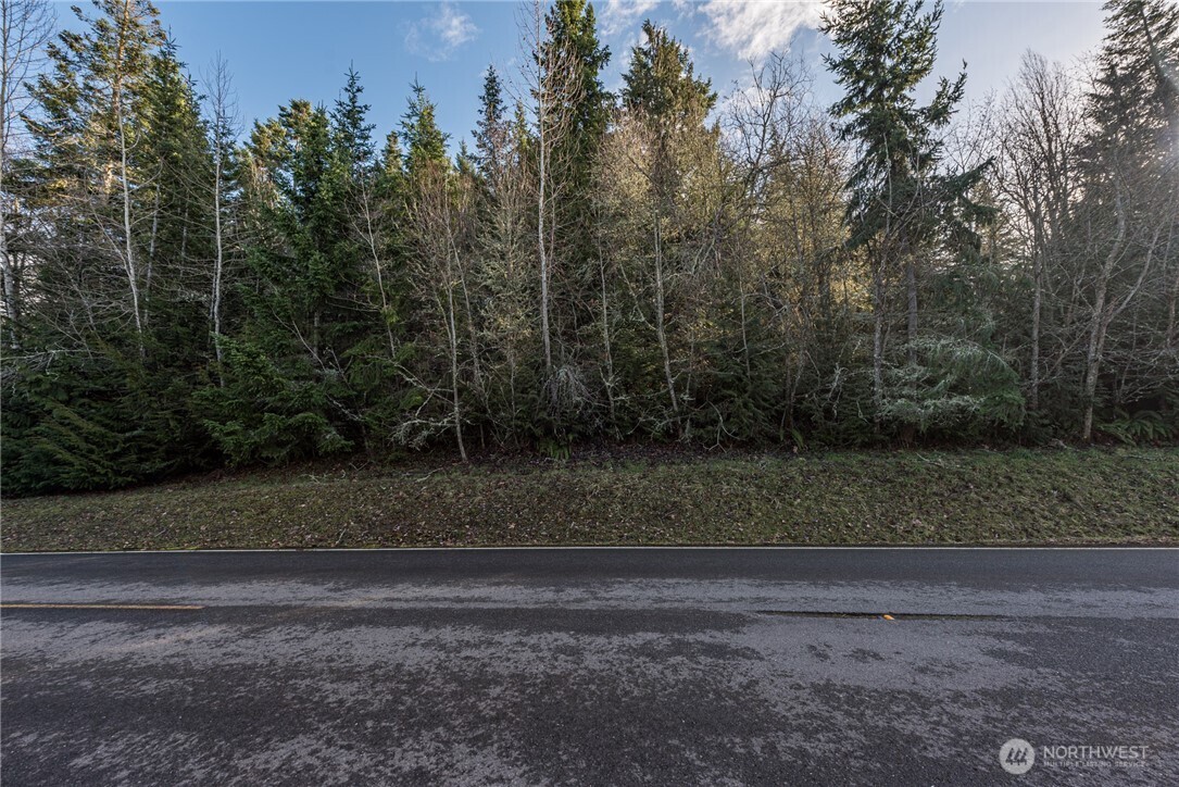 99999 Lot 3 Owls Nest Road Property Photo 24