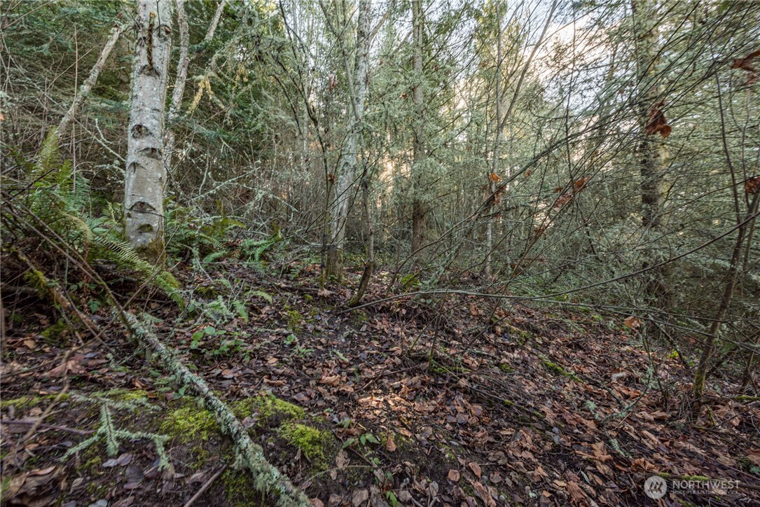99999 Lot 3 Owls Nest Road Property Photo 29