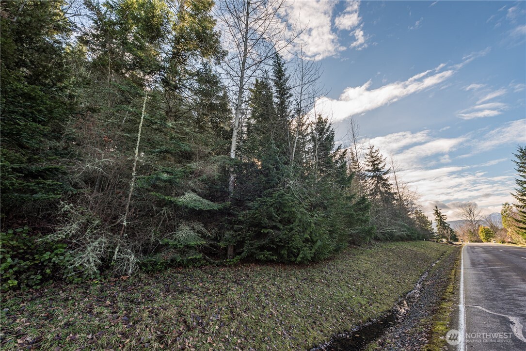 99999 Lot 3 Owls Nest Road Property Photo 30