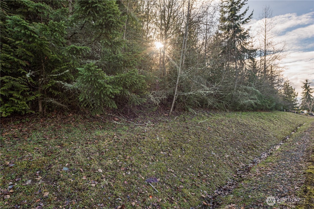 99999 Lot 3 Owls Nest Road Property Photo 31