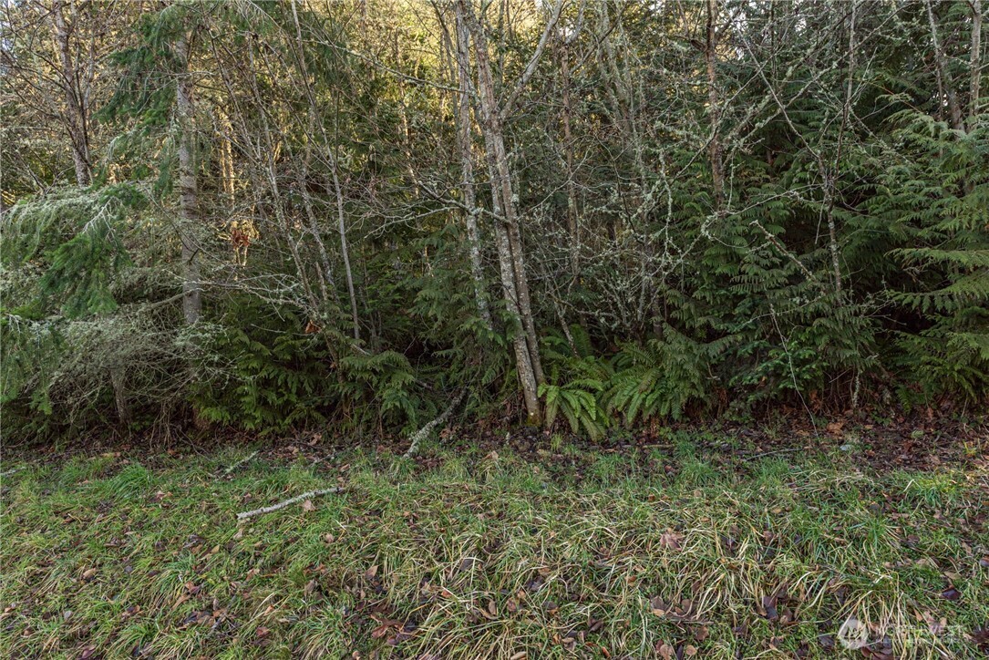 99999 Lot 3 Owls Nest Road Property Photo 33