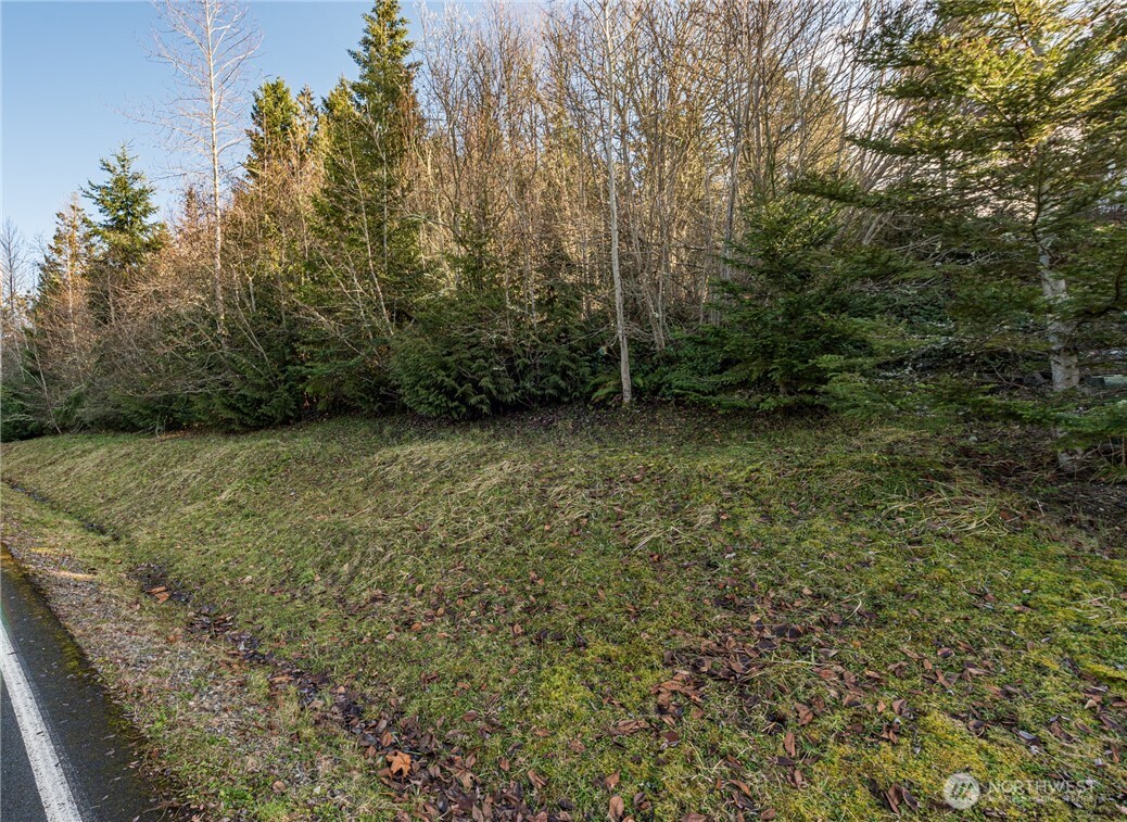 99999 Lot 3 Owls Nest Road Property Photo 34