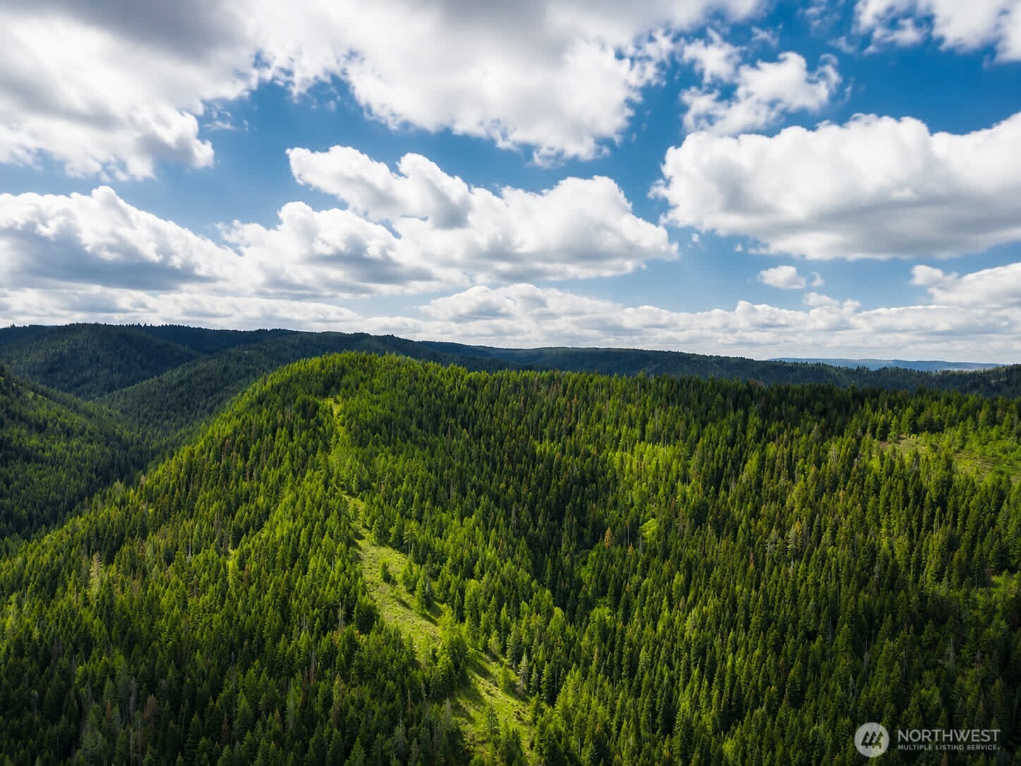 30 Acres Off Biscuit Ridge Property Photo 1