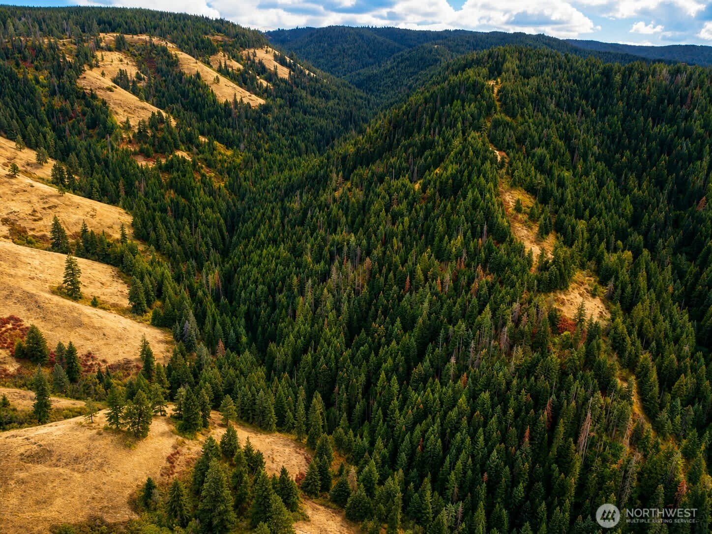 30 Acres Off Biscuit Ridge Property Photo 4