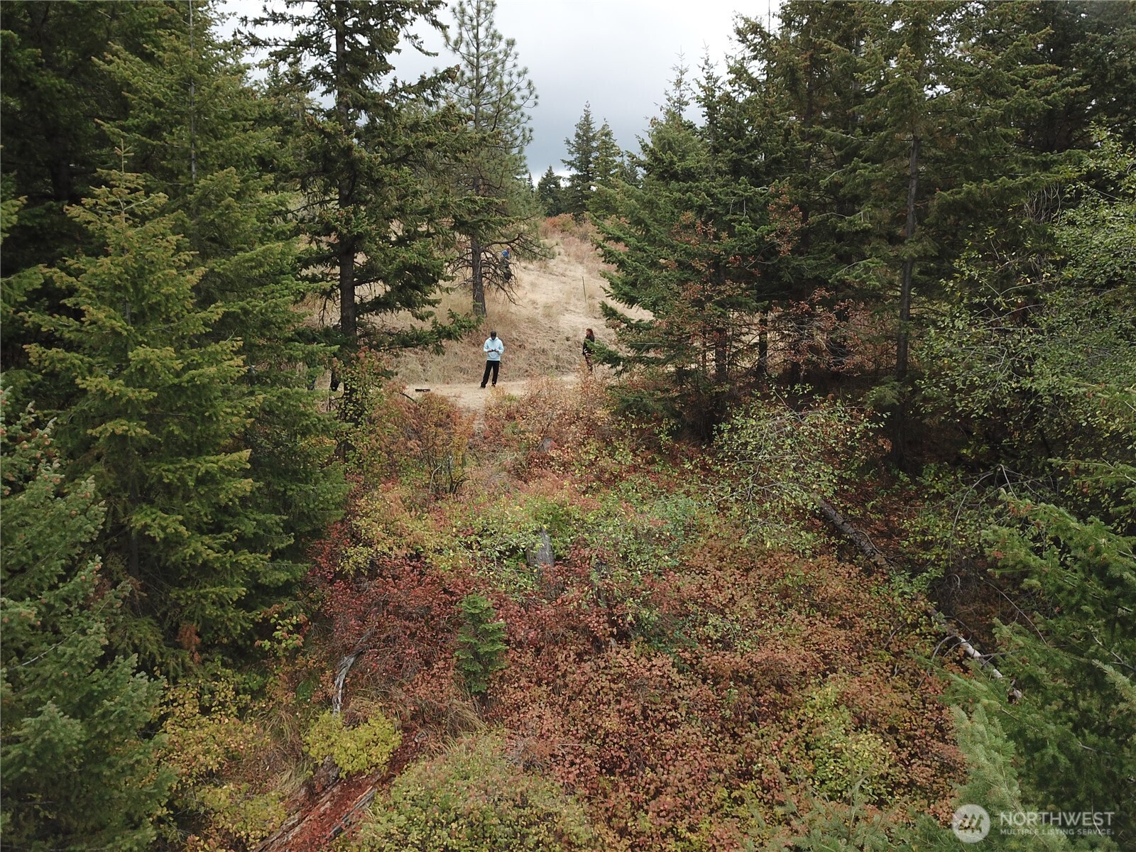 30 Acres Off Biscuit Ridge Property Photo 6