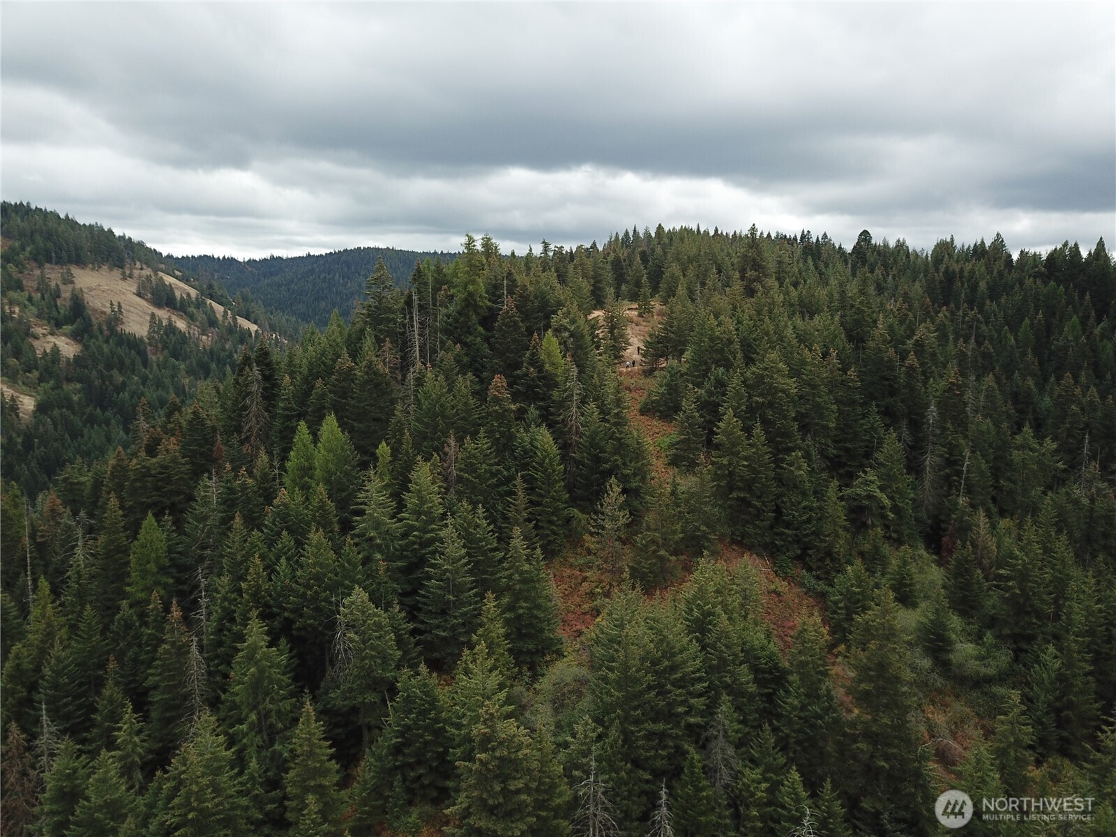 30 Acres Off Biscuit Ridge Property Photo 7