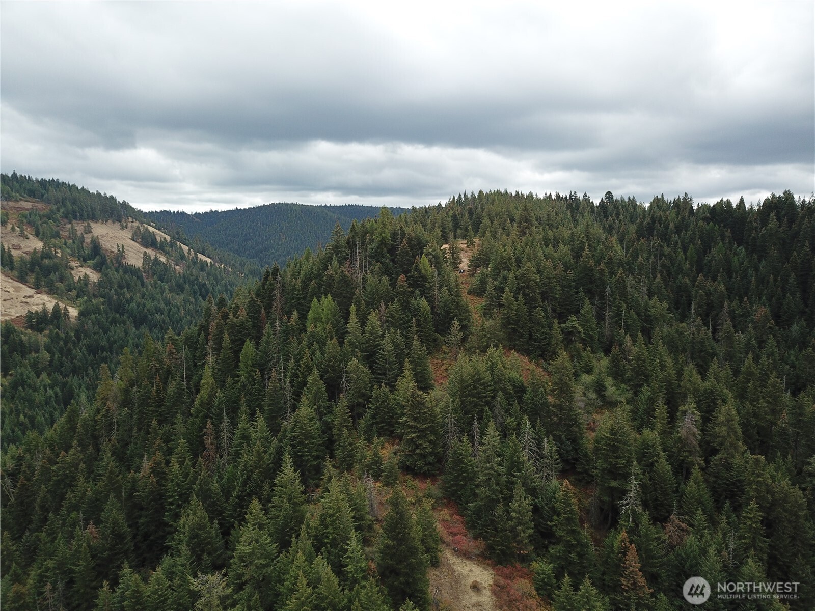 30 Acres Off Biscuit Ridge Property Photo 8