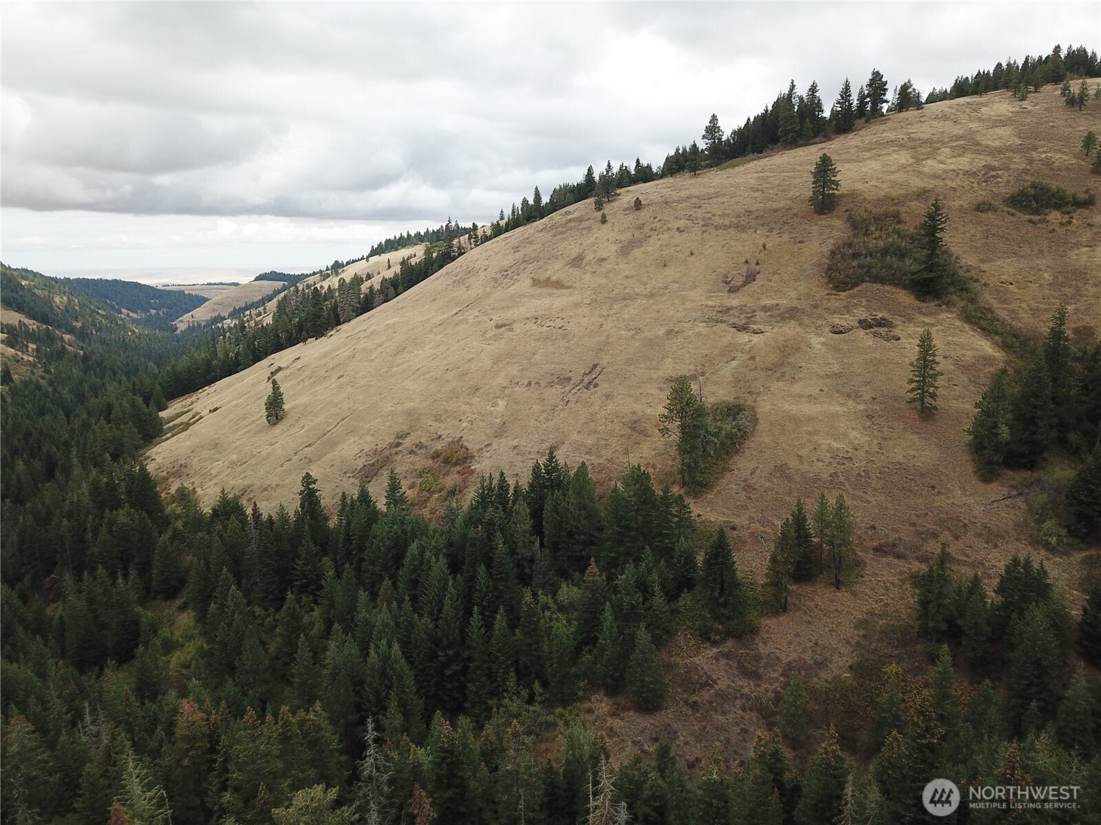 30 Acres Off Biscuit Ridge Property Photo 9