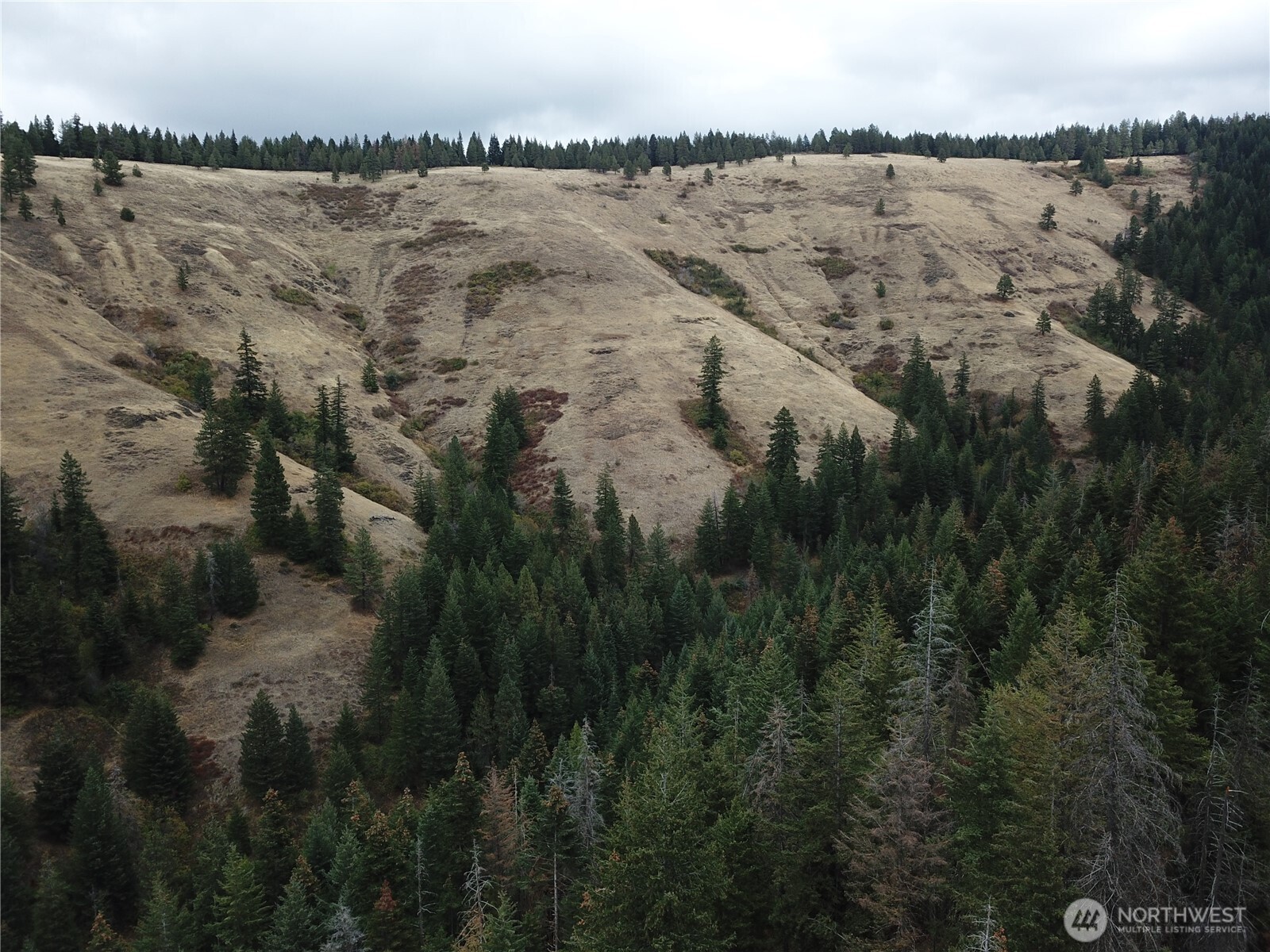 30 Acres Off Biscuit Ridge Property Photo 10