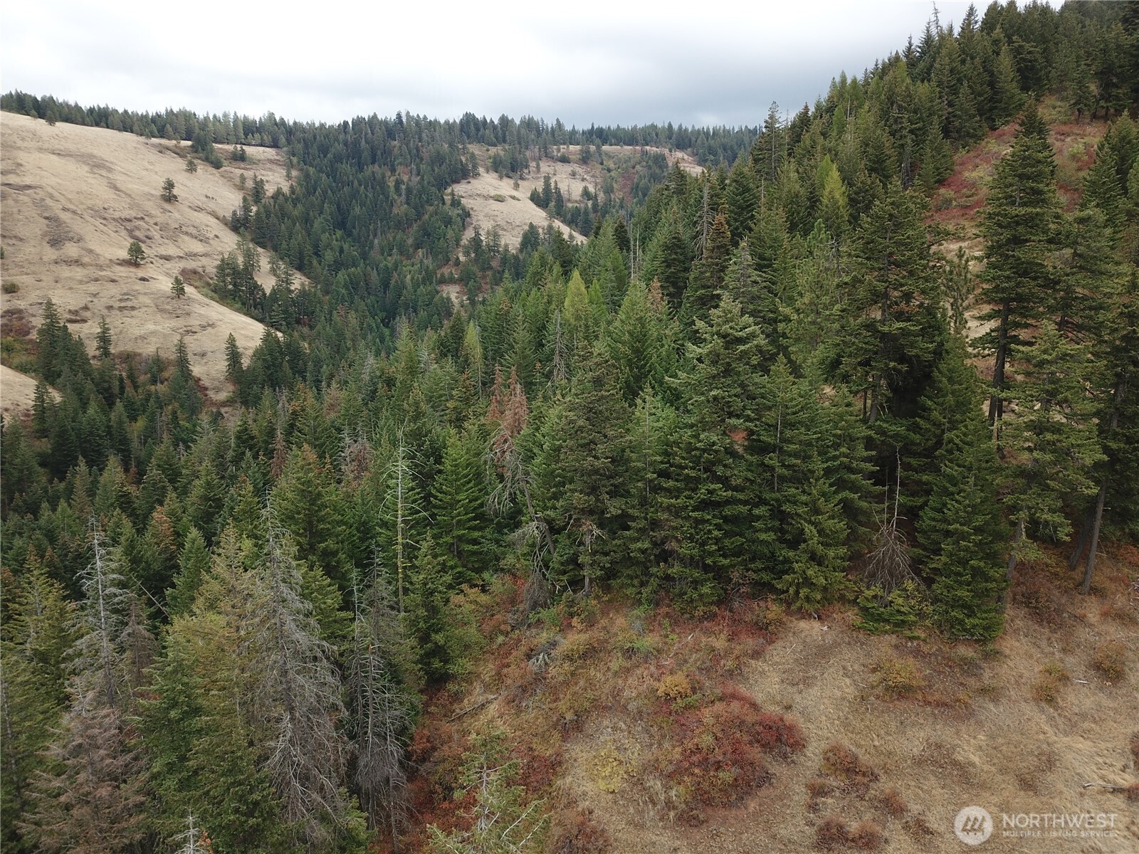 30 Acres Off Biscuit Ridge Property Photo 11
