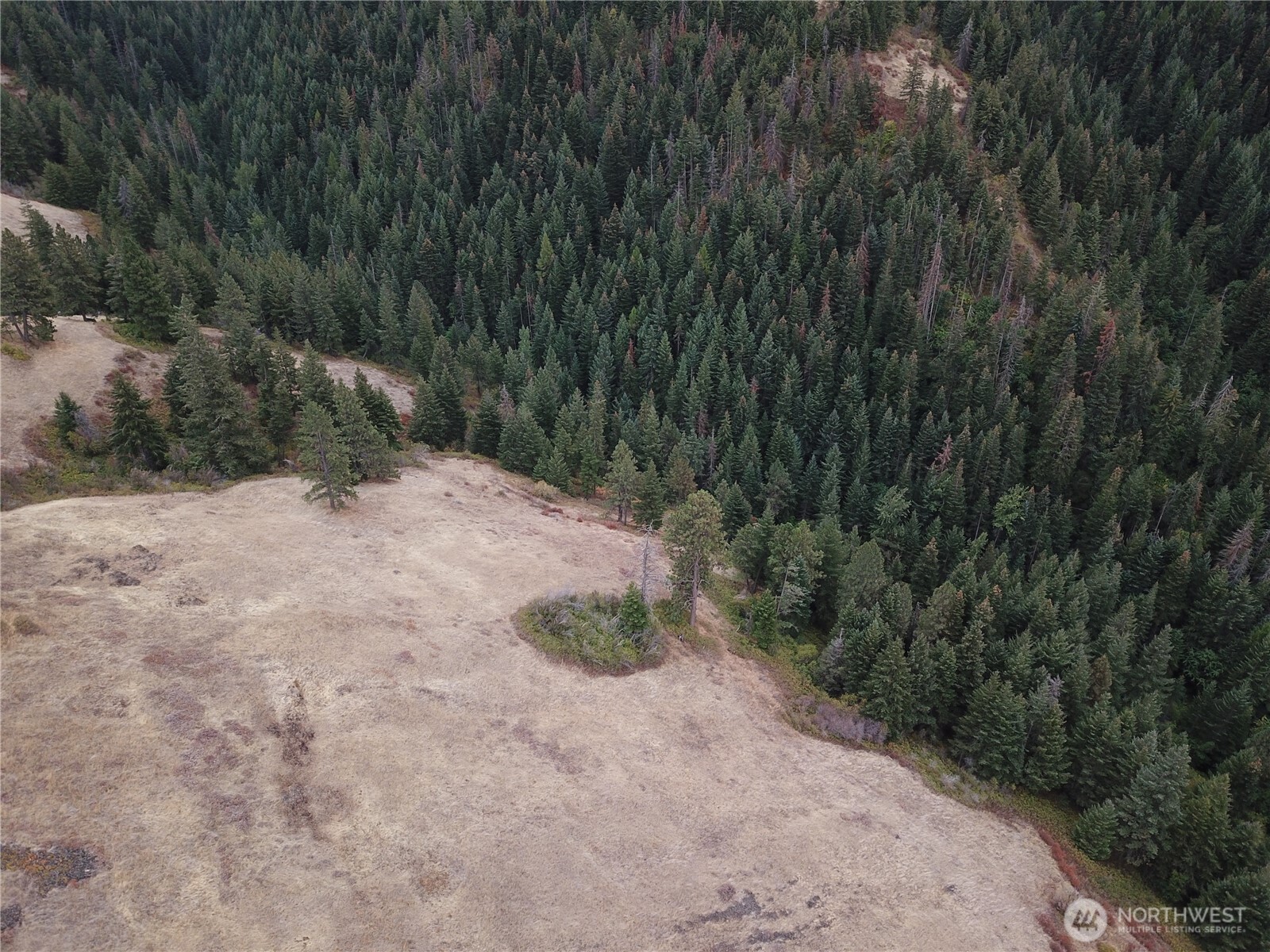 30 Acres Off Biscuit Ridge Property Photo 12