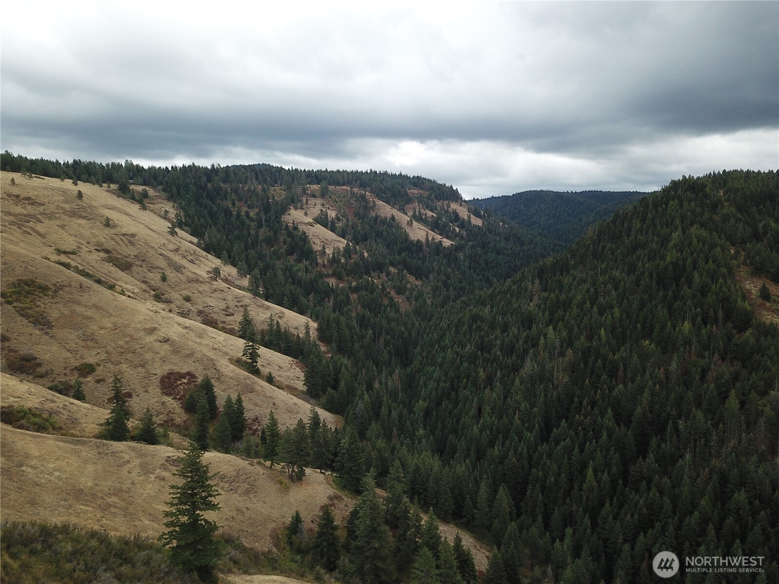 30 Acres Off Biscuit Ridge Property Photo 13