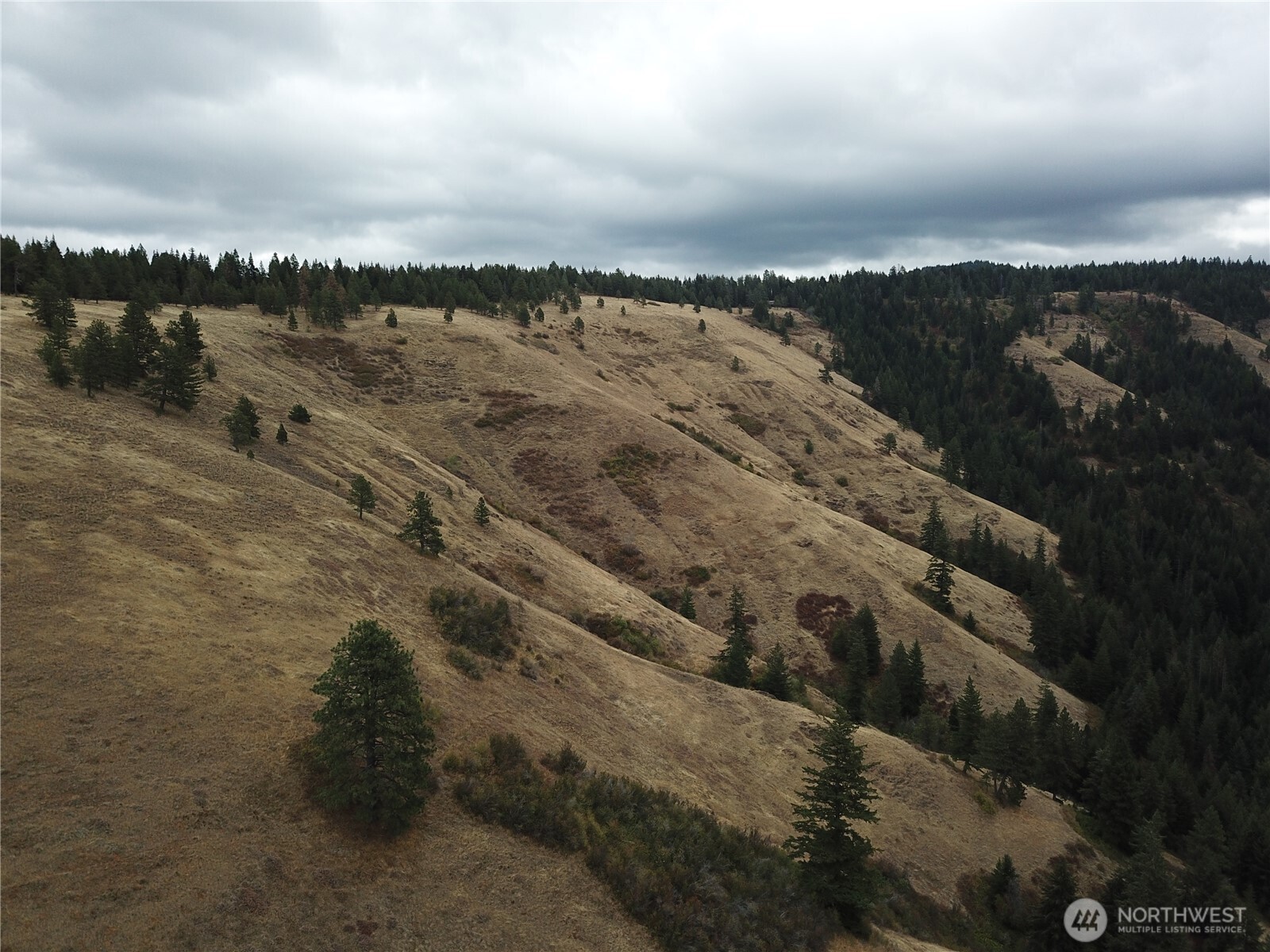 30 Acres Off Biscuit Ridge Property Photo 14