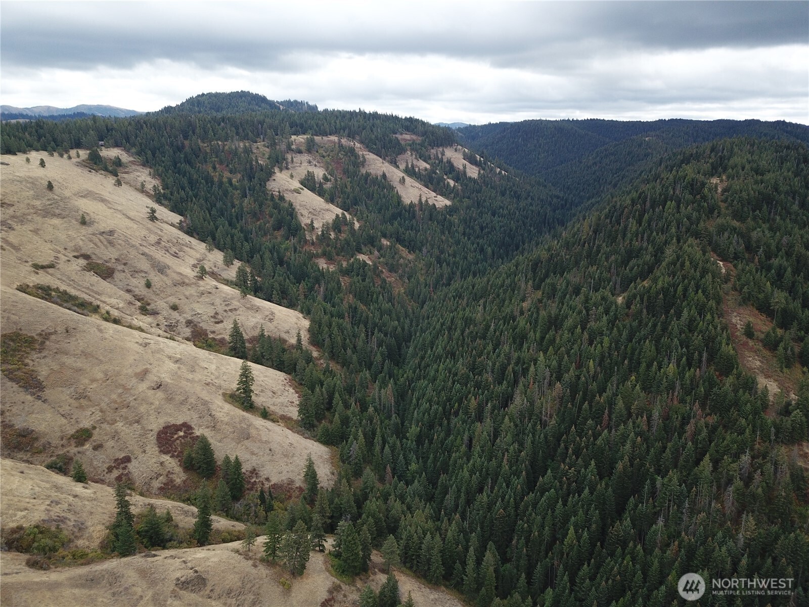30 Acres Off Biscuit Ridge Property Photo 15