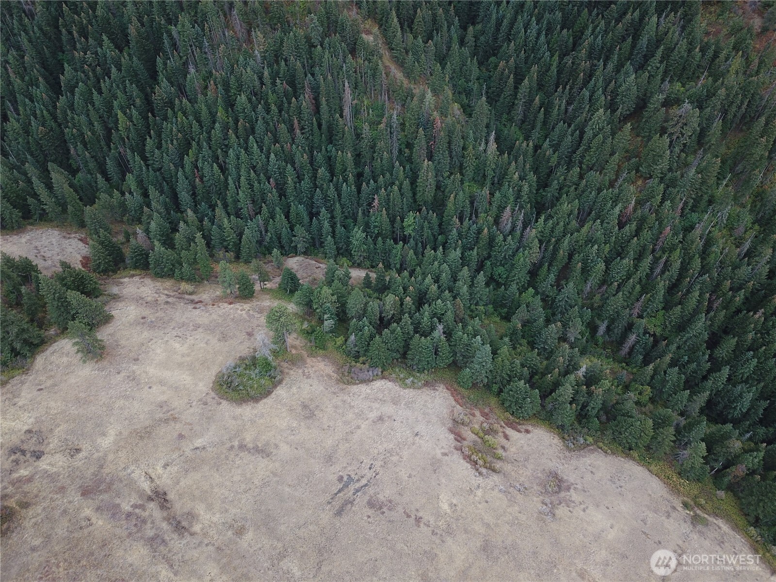 30 Acres Off Biscuit Ridge Property Photo 16