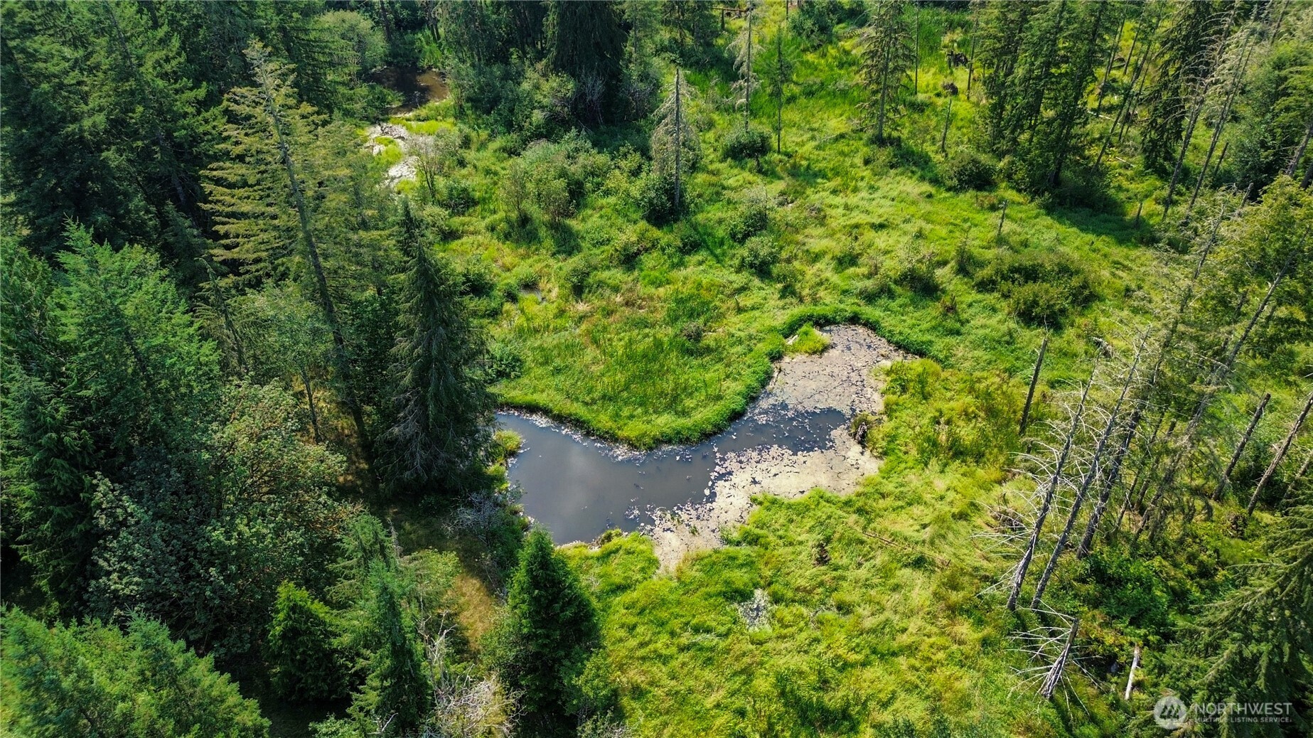 773 Lucas Creek Road Property Photo 40