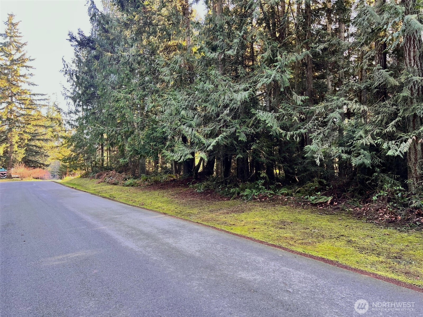 9999 Hidden Highlands Lot 3 Property Photo 8