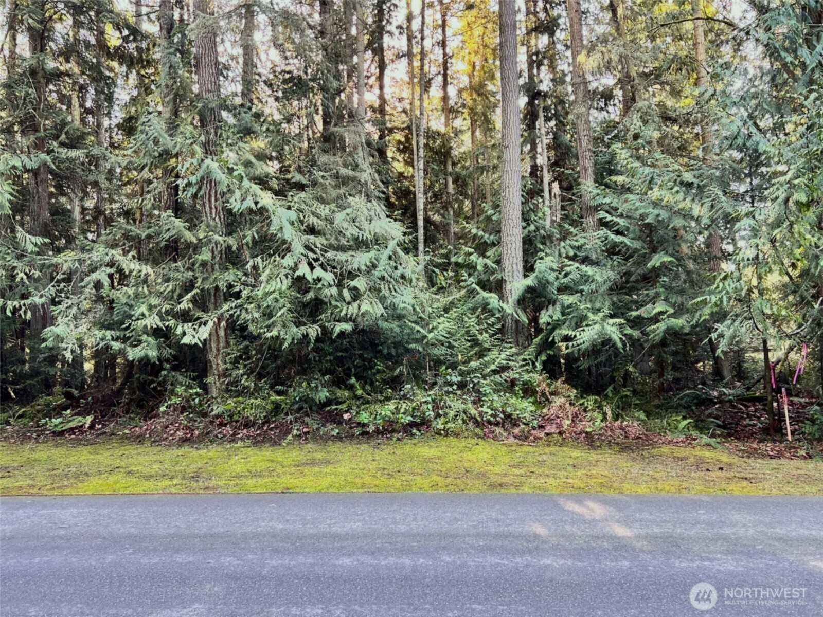 9999 Hidden Highlands Lot 3 Property Photo 9