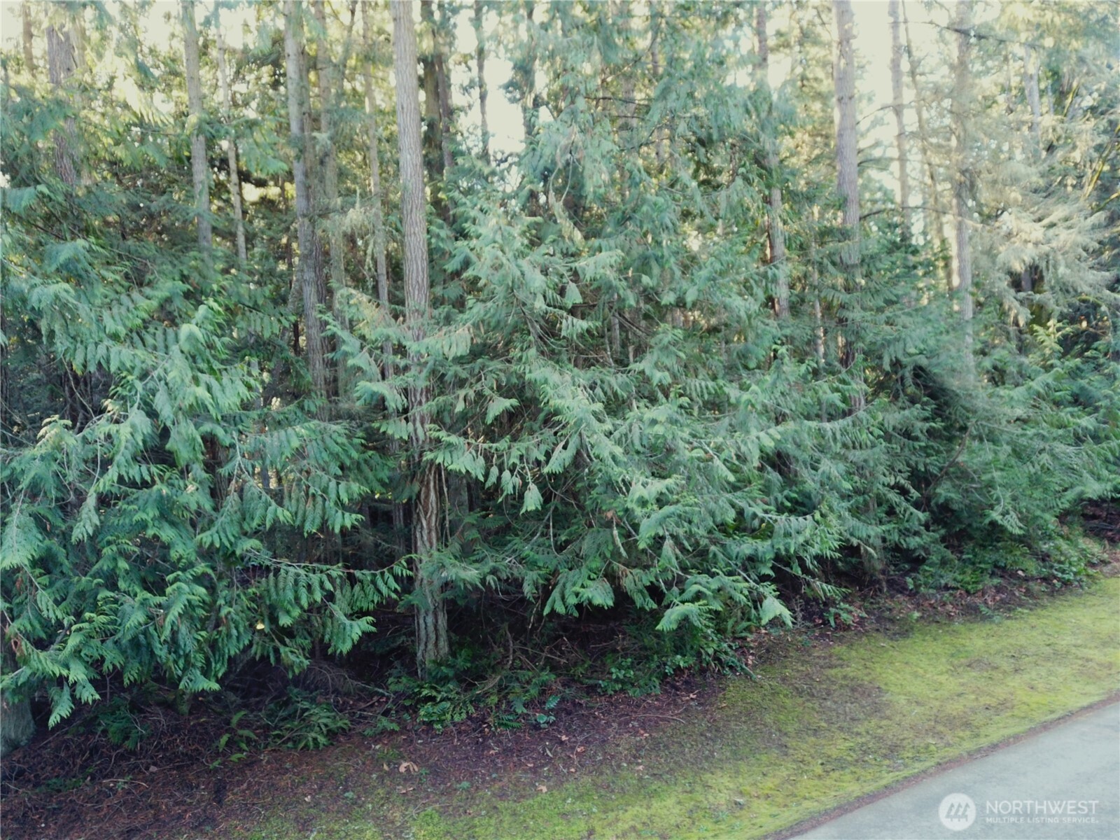 9999 Hidden Highlands Lot 3 Property Photo 11