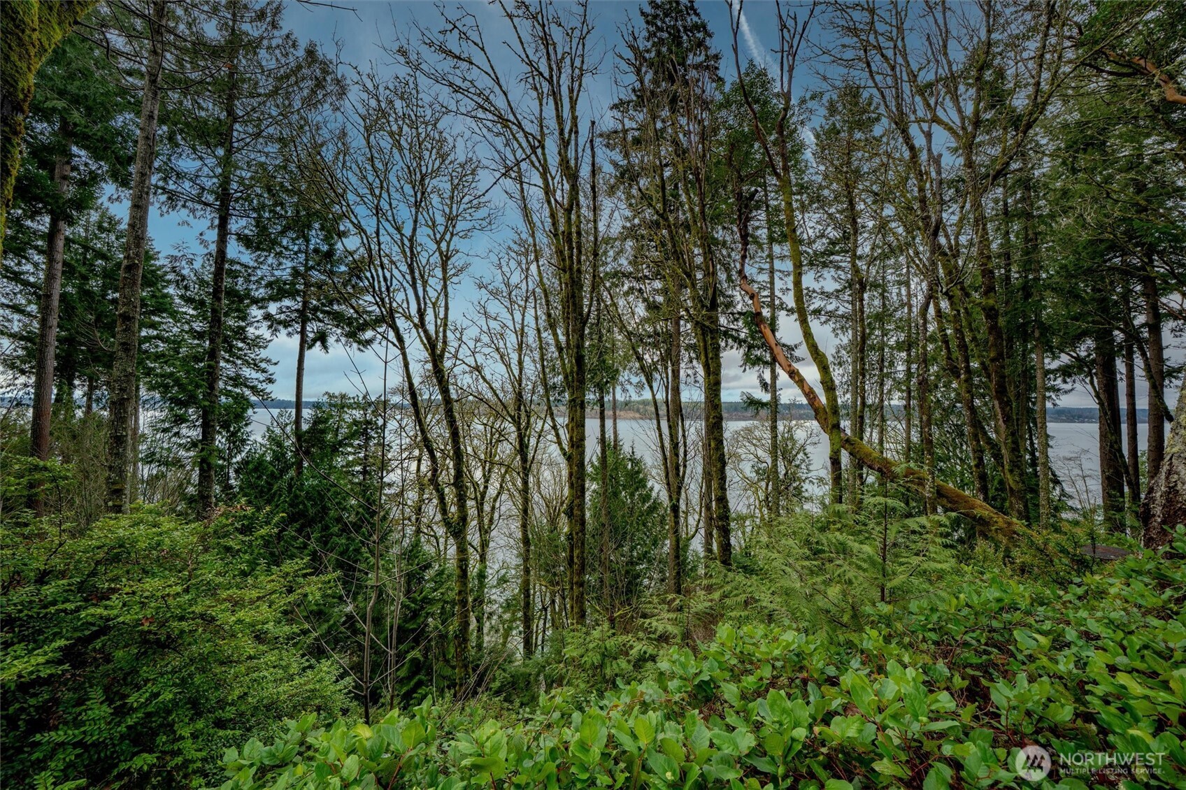 14018 96th Street Ct Property Photo 7