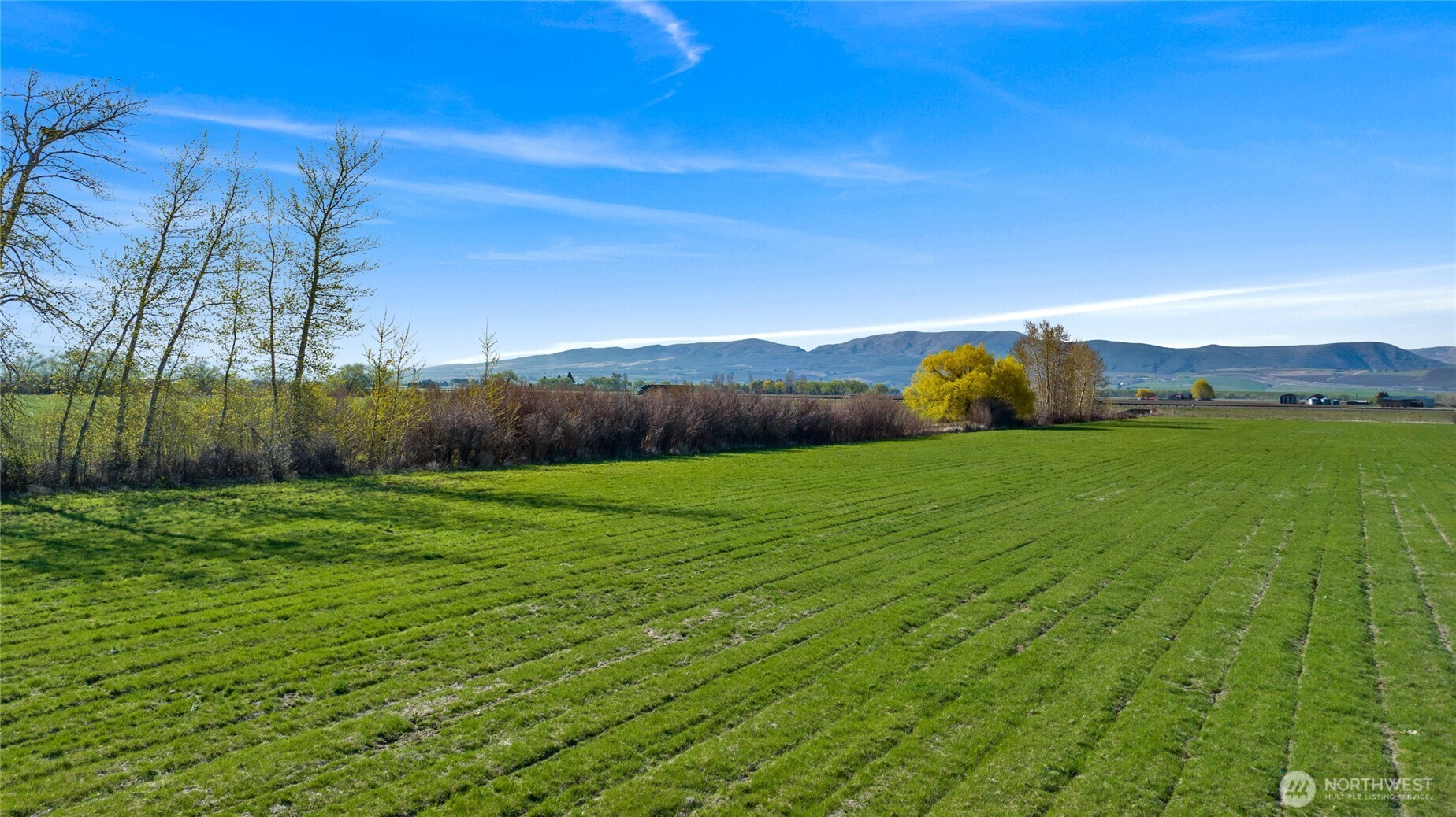 5 Xx Rein Road Property Photo 6