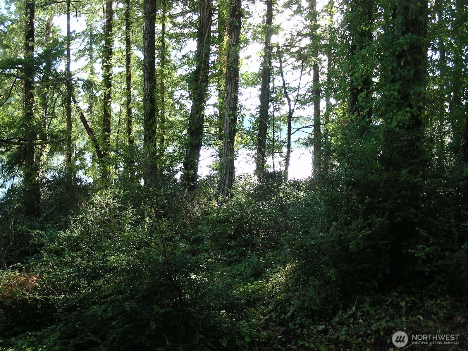 0 E Murray Road Property Photo 2