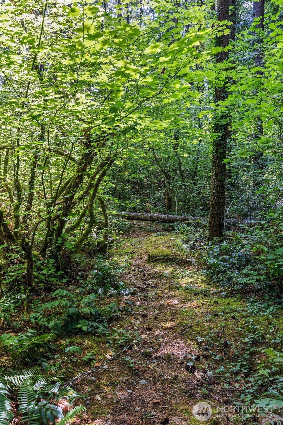 4027 Dent Road Property Photo 13