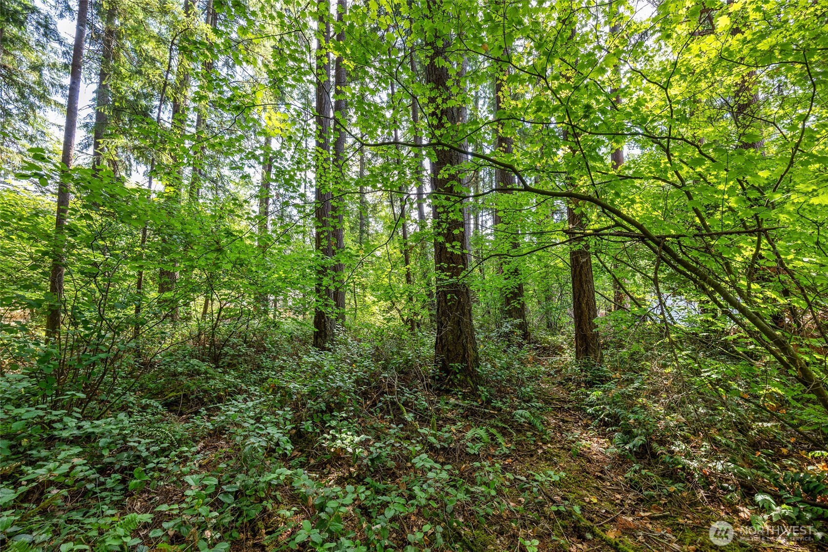 4027 Dent Road Property Photo 16