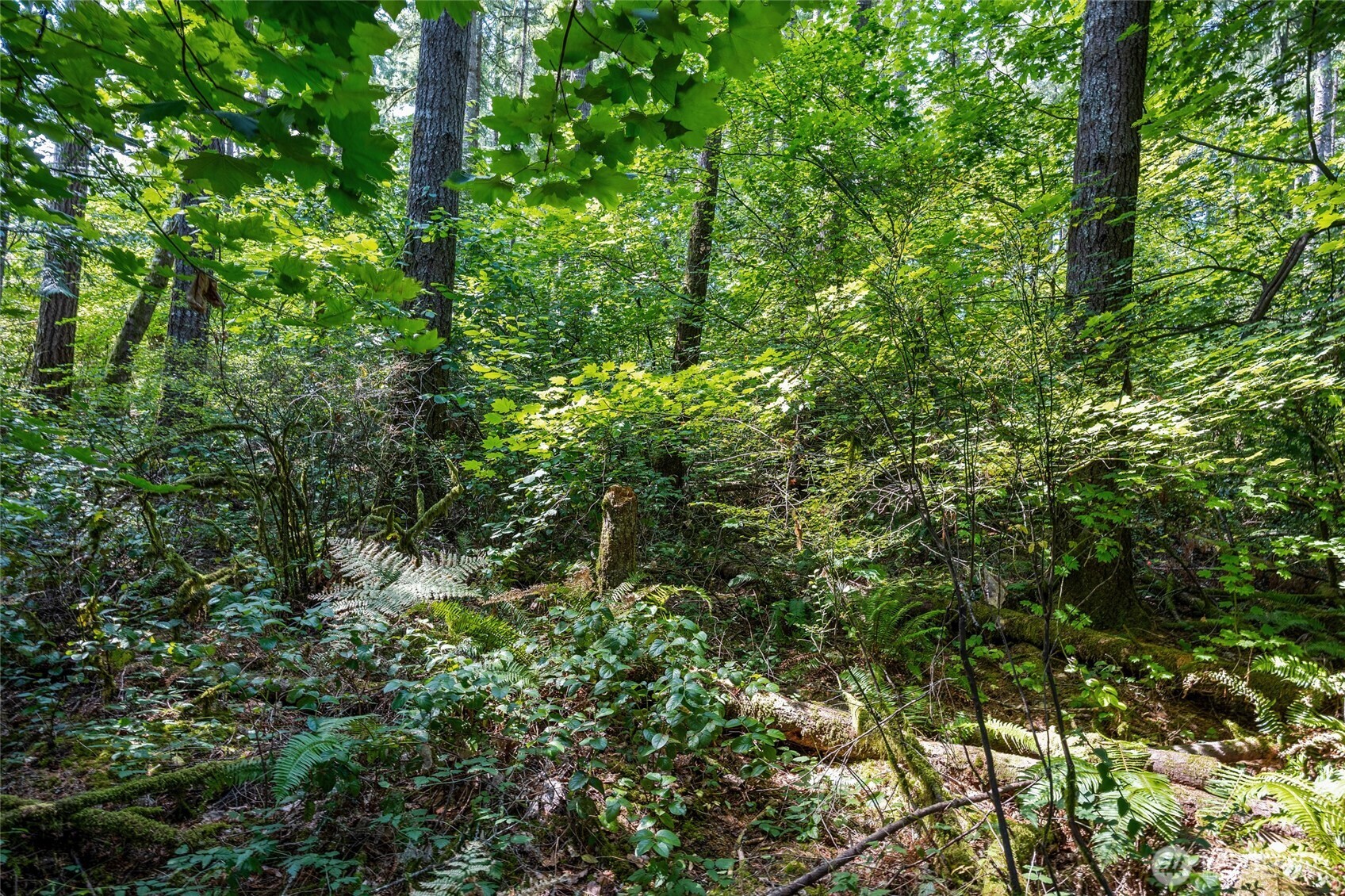 4027 Dent Road Property Photo 17