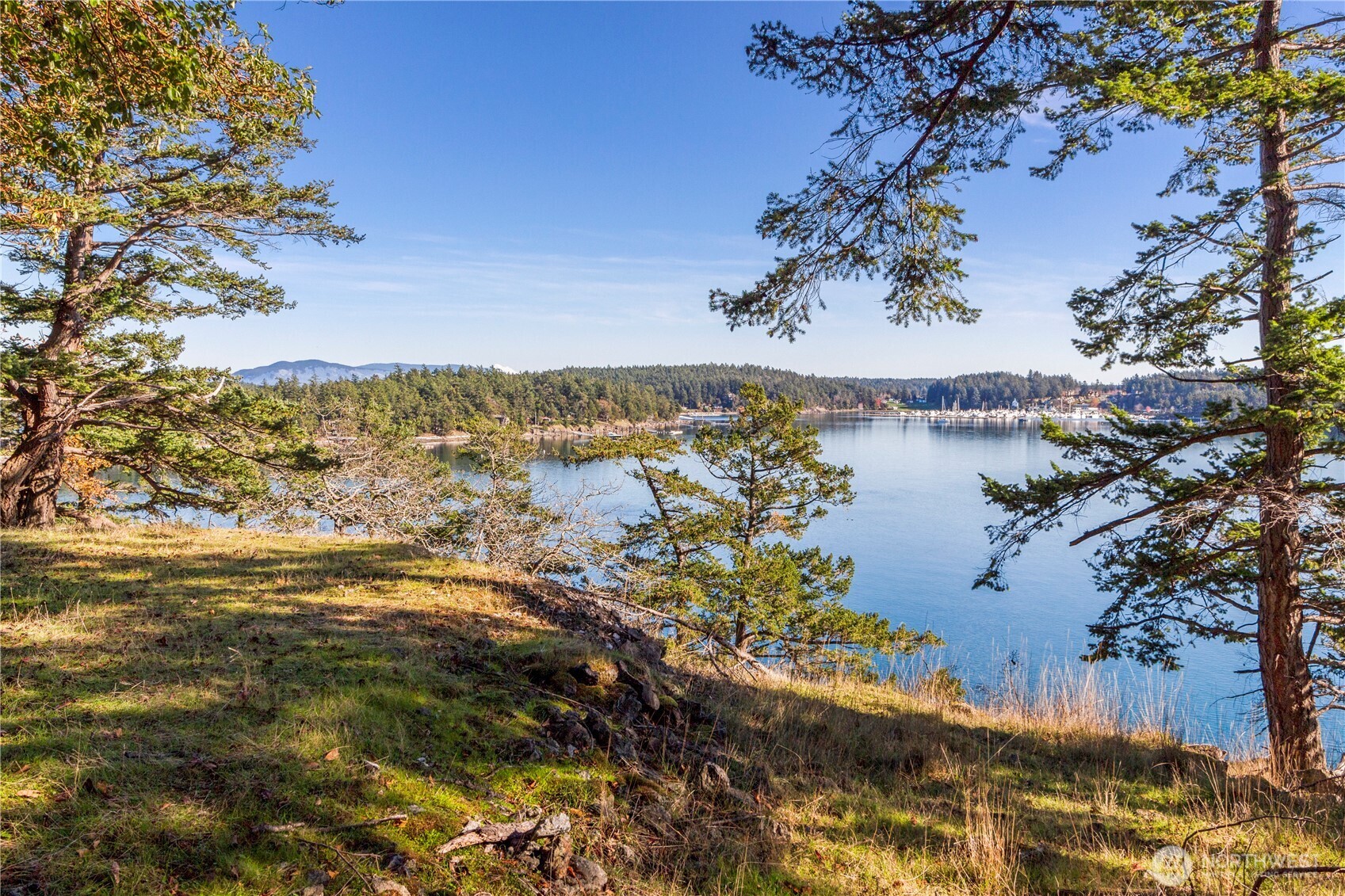 7 Roche Harbor Shores Property Photo 4