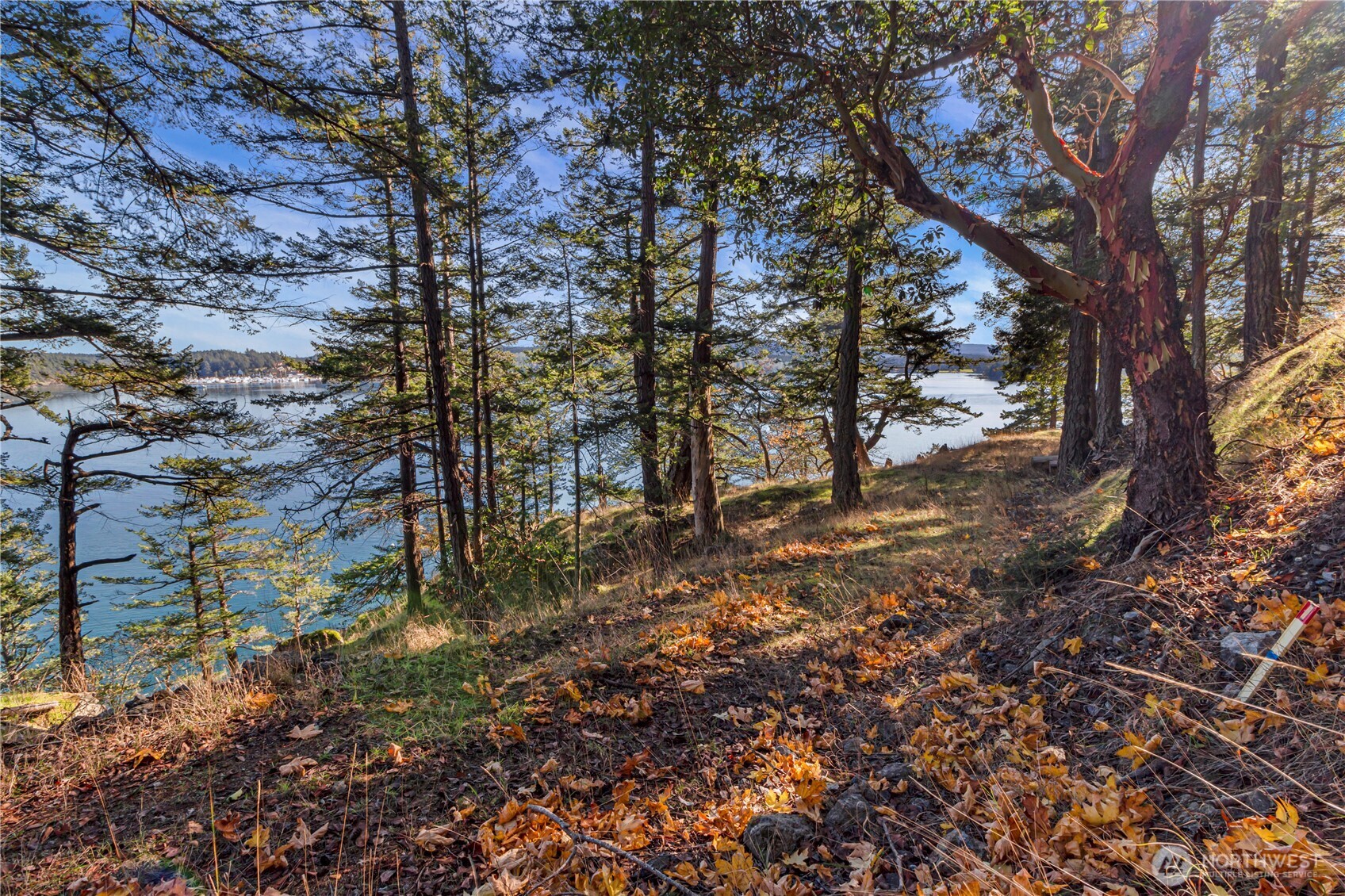 7 Roche Harbor Shores Property Photo 5