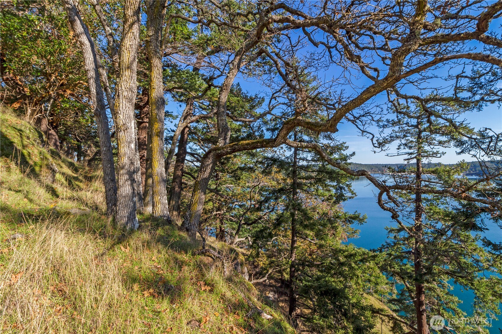 7 Roche Harbor Shores Property Photo 6