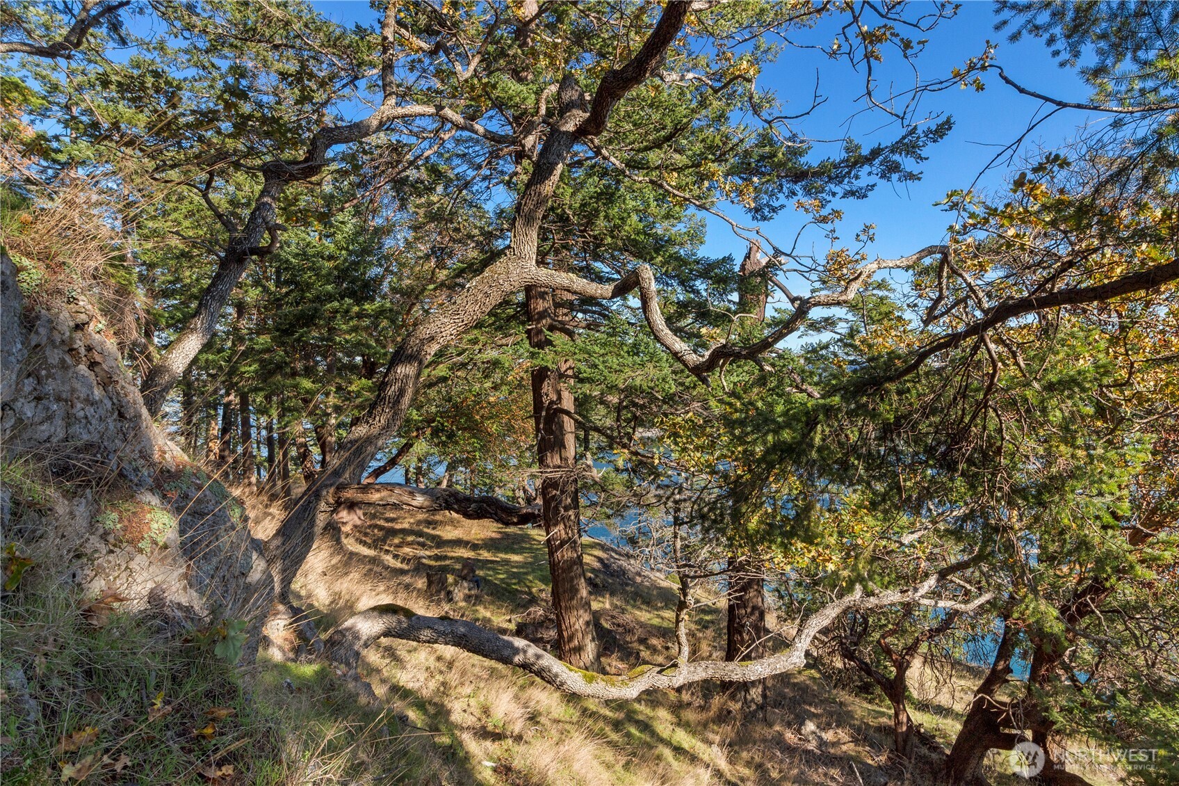 7 Roche Harbor Shores Property Photo 11
