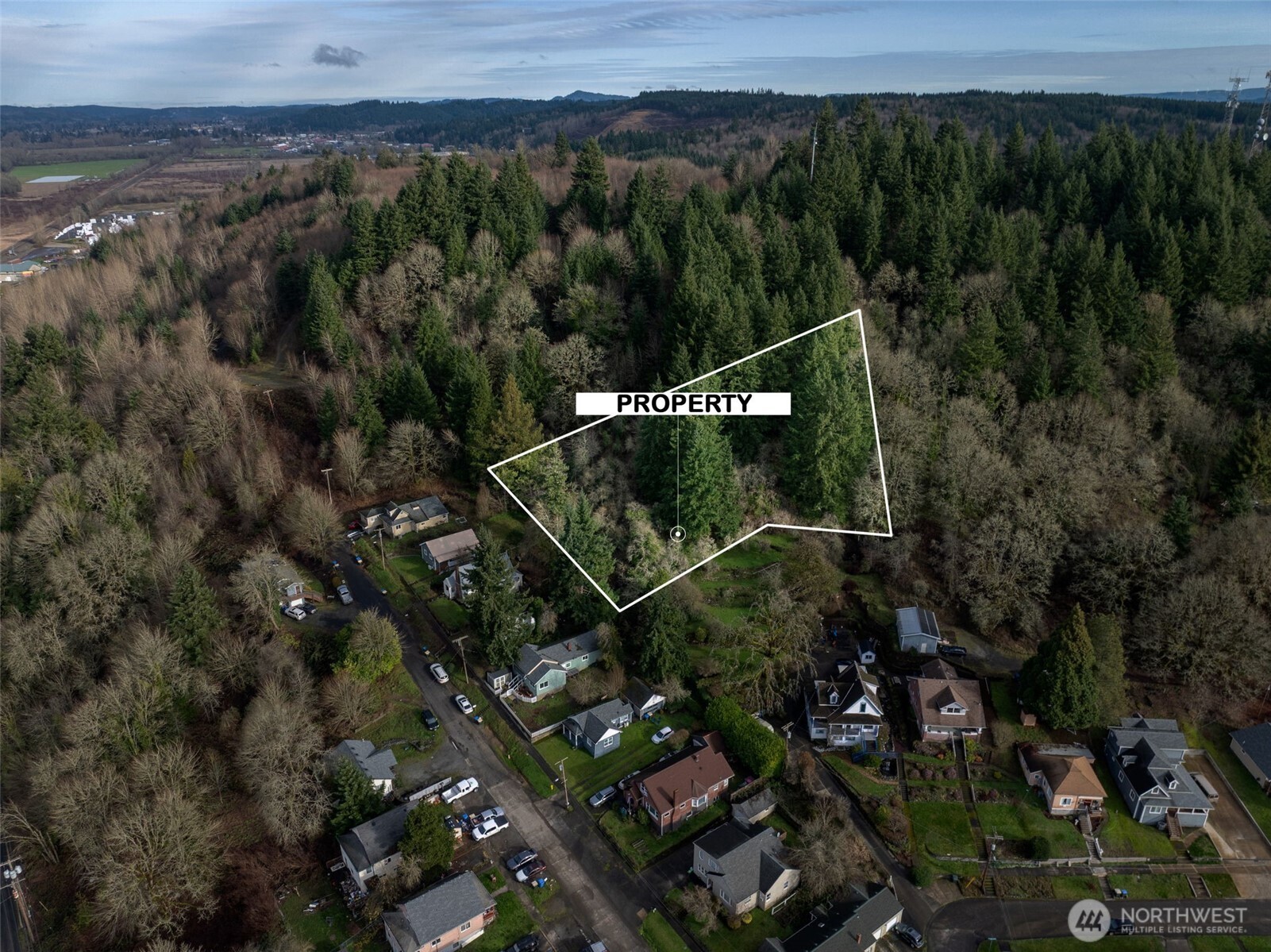 0 Ne Franklin Avenue Property Photo 2