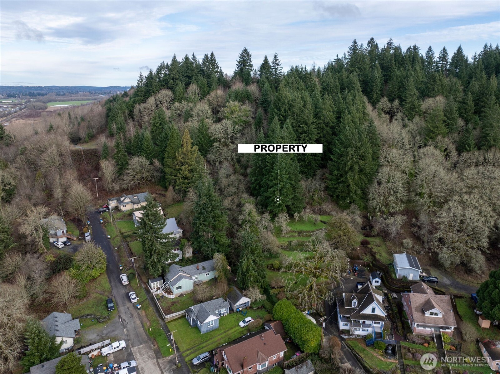 0 Ne Franklin Avenue Property Photo 3