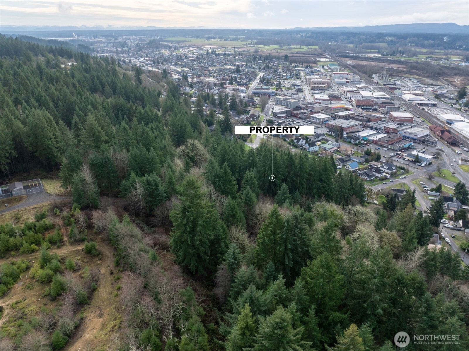 0 Ne Franklin Avenue Property Photo 6