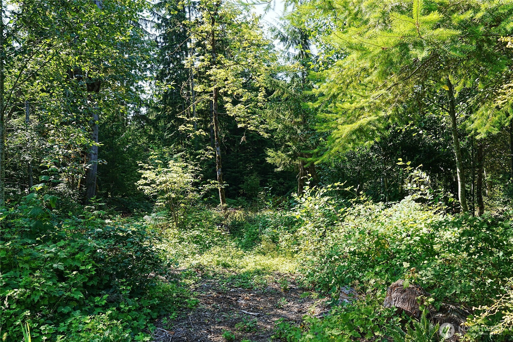 2514 177th Avenue Property Photo 24