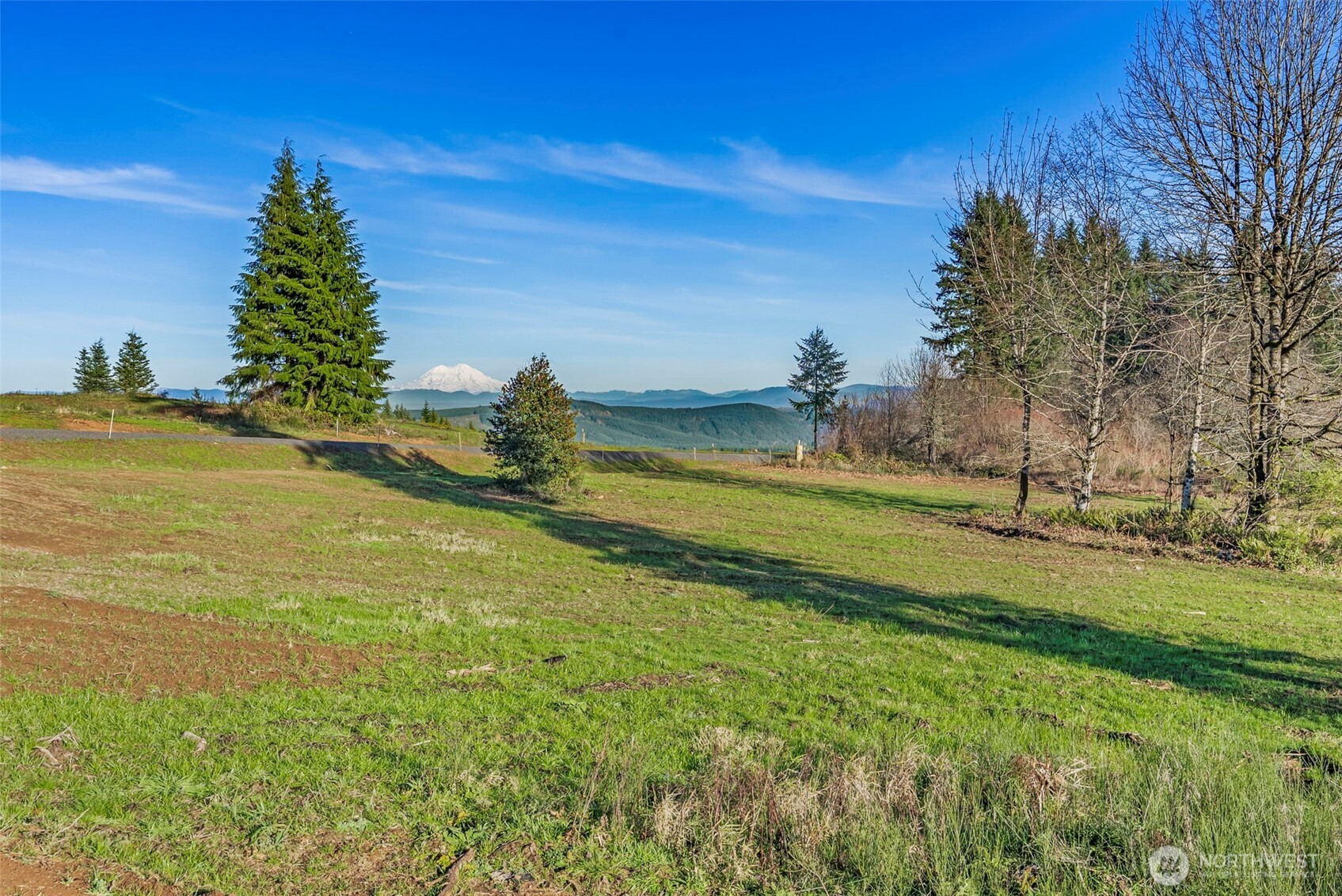 239 Suncrest Drive Property Photo 14