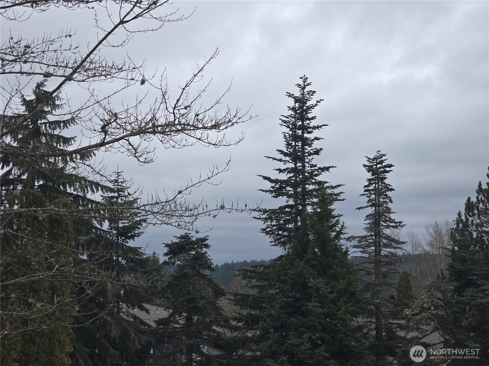 7417 Old Redmond Road Property Photo 21
