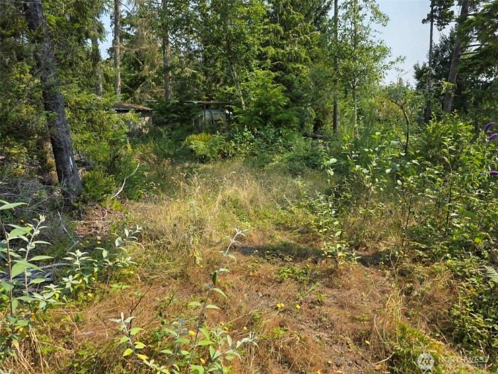 27602 U Street Property Photo 2